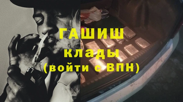 стаф Дмитров