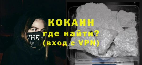 стаф Дмитров