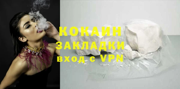 стаф Дмитров