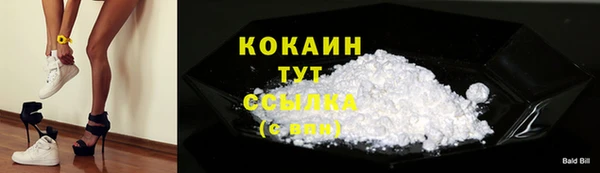 стаф Дмитров