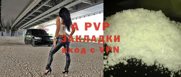 стаф Дмитров