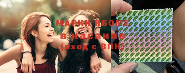 стаф Дмитров
