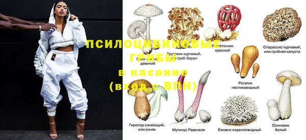 стаф Дмитров